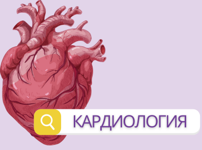 A heart representing cardiology 																				 																				