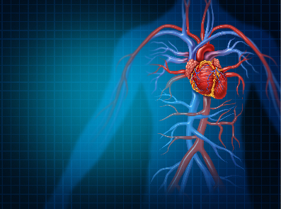 Кардиология