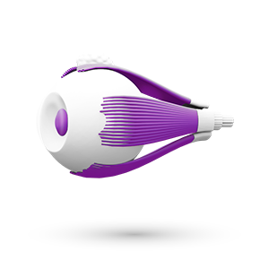 Viatris има стабилно наследство и ангажимент за подобряване на начина, по който хората с глаукома и ОХ виждат света